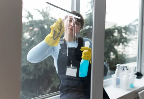Nettoyage de vitres intérieures et extérieures à Vœuil-et-Giget